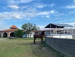 Cooking with Cowboy: Wholesome Wednesday at the farm!! (SW)